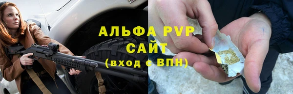 спайс Вяземский