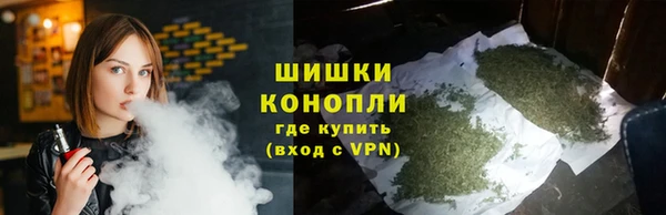 спайс Вяземский