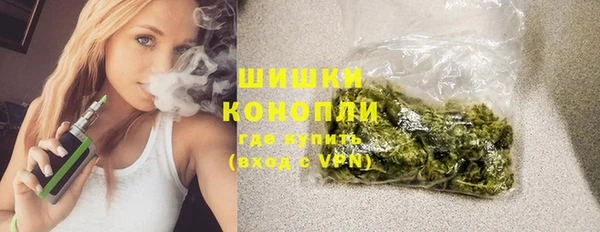 спайс Вяземский