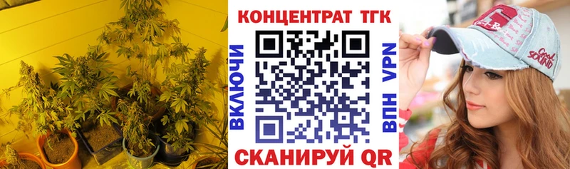 ТГК Wax  Донской 